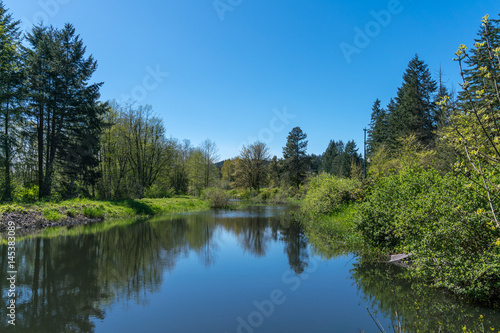 Black Lake Meadows