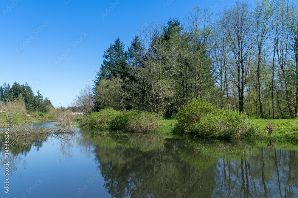 Black Lake Meadows Black Lake Meadows