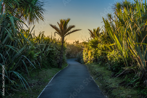 Fototapeta Naklejka Na Ścianę i Meble -  Walkway at Punakaiki Pancake Rocks and Blowholes, West Coast, New Zealand
