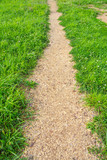 A path in the middle of a green grass