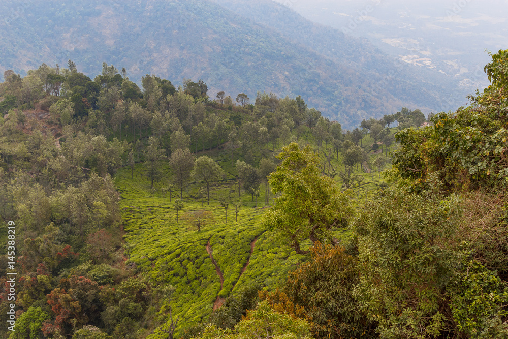 Obraz premium Wide view of Suicide point view at Ooty, India, 19 Aug 2016