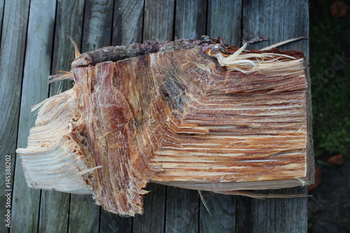 harzreicher Holzscheit aus Kienholz