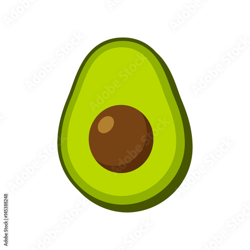 Vector isolated avocado