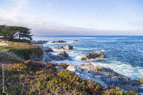 Seascape of Monterey Bay and cypress trees at Sunset in Pacific Grove, California, USA