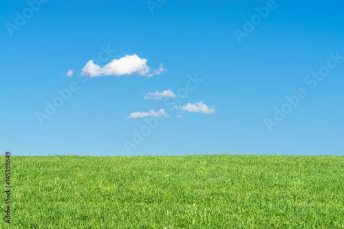 Green grass field with clear blue sky and white clouds