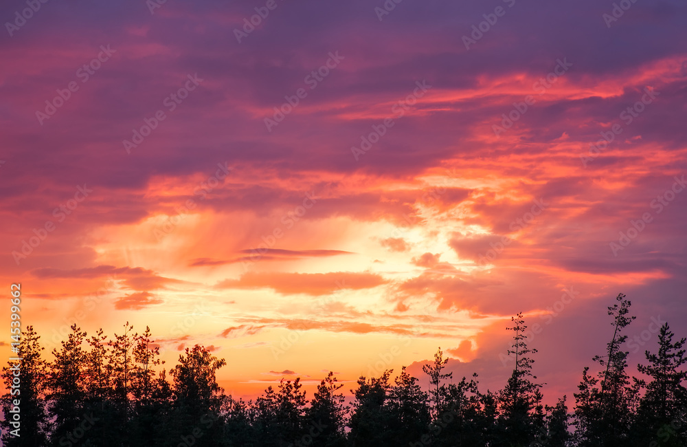 Beautiful colorful sky during sunset or sunrise and top of the trees.