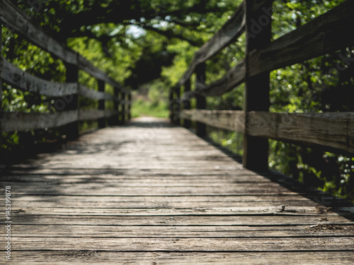 Wooden pathway