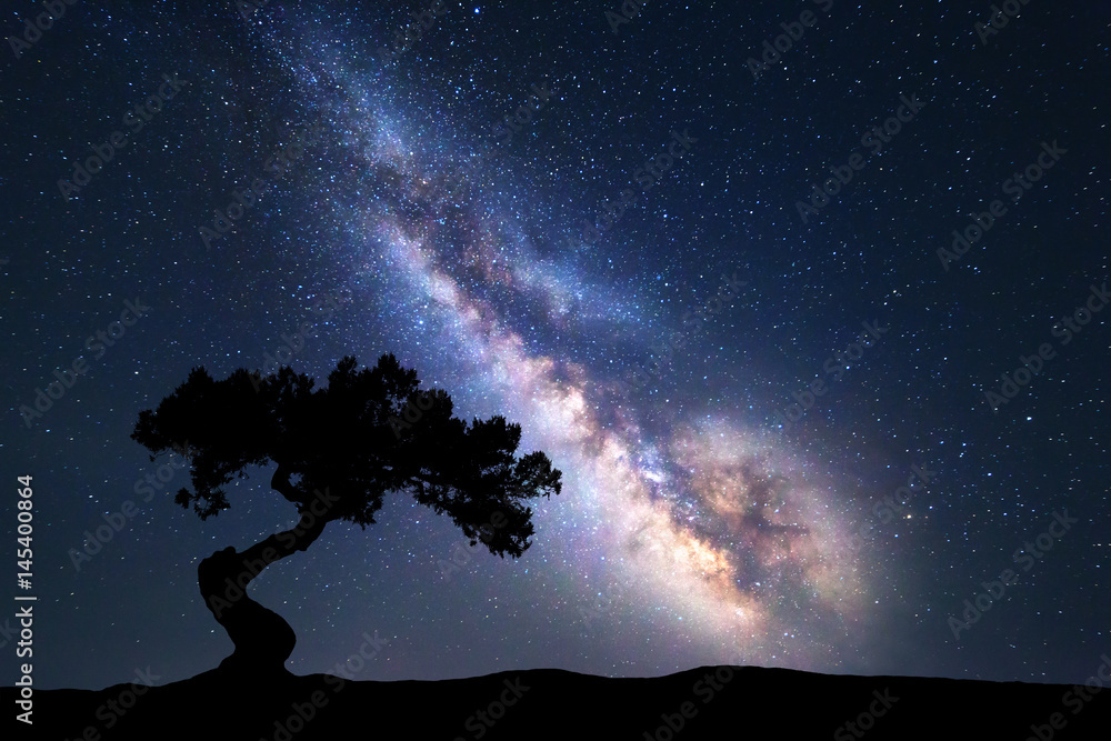 Milky Way with alone old tree on the hill. Colorful night landscape with milky way, sky with stars and hills in summer. Space background. Amazing astrophotography. Beautiful universe. Nature