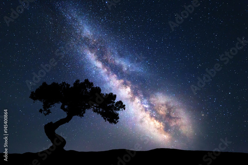 Milky Way with alone old tree on the hill. Colorful night landscape with milky way, sky with stars and hills in summer. Space background. Amazing astrophotography. Beautiful universe. Nature