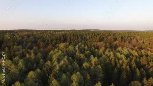 Fyling over the tree top in spring