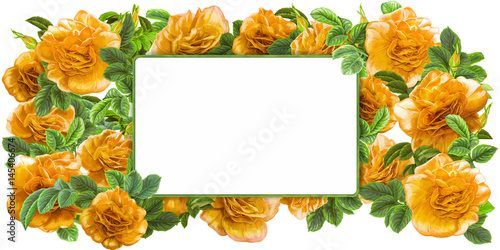 cartoon scene with beautiful and colorful flowers on white background