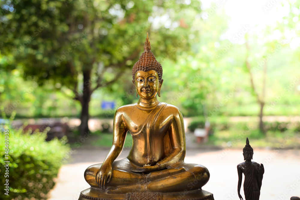 buddha statue buddha statue
