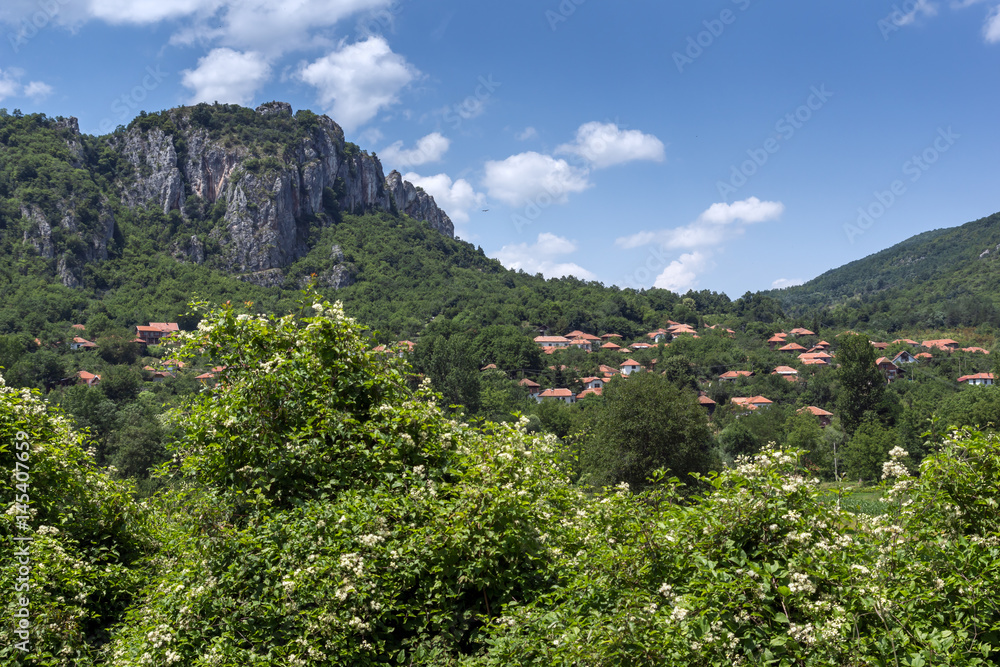 Fototapeta premium Panorama of Vlasi Village and rock formation of Jerma River Gorge, Dimitrovgrad Region, Serbia