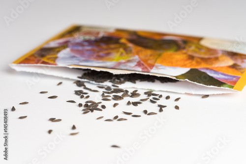 Heirloom Lettuce Seeds Spilled from a Seed Packet