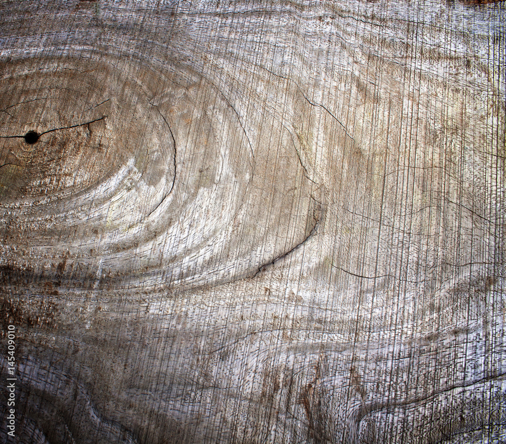 Fototapeta premium wood