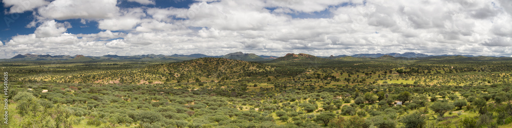 Panorama of the namibian grassland in the rain season