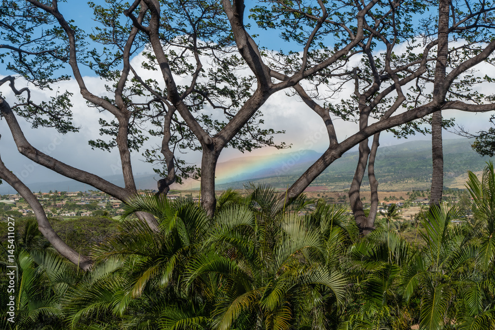 Beautiful Maui vista with a rainbow 