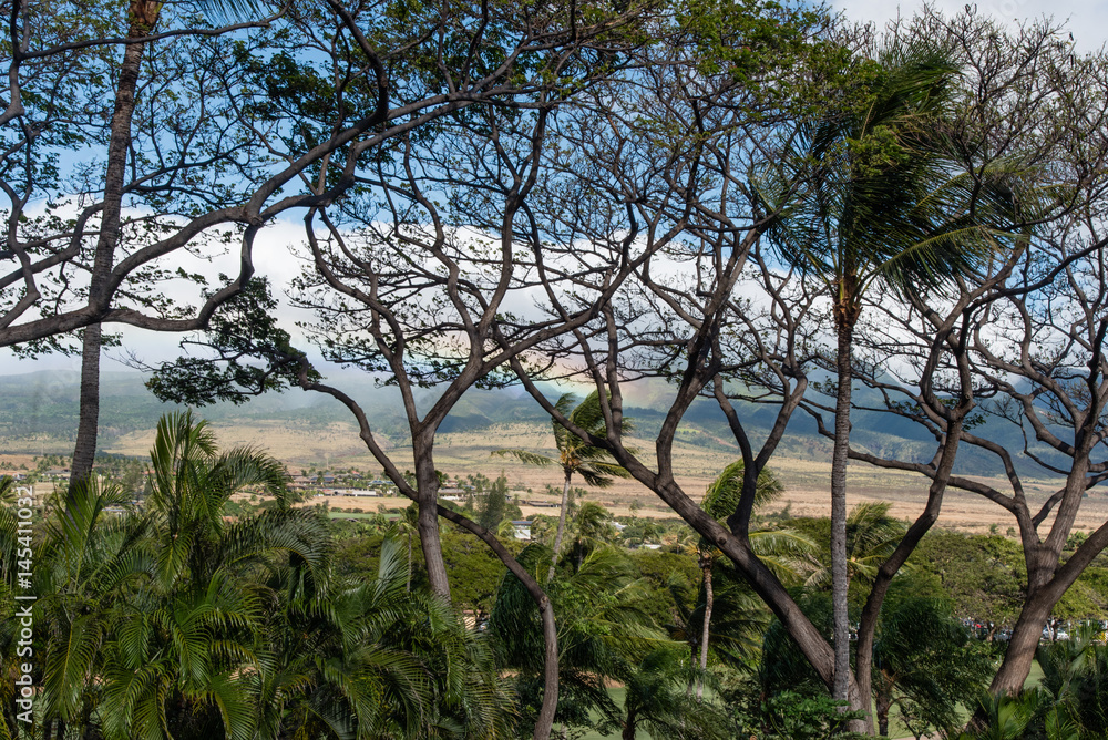 Fototapeta premium Beautiful Maui vista with a rainbow 