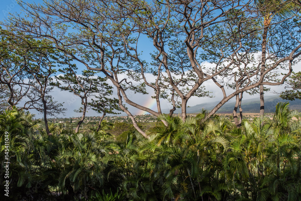 Beautiful Maui vista with a rainbow Beautiful Maui vista with a rainbow