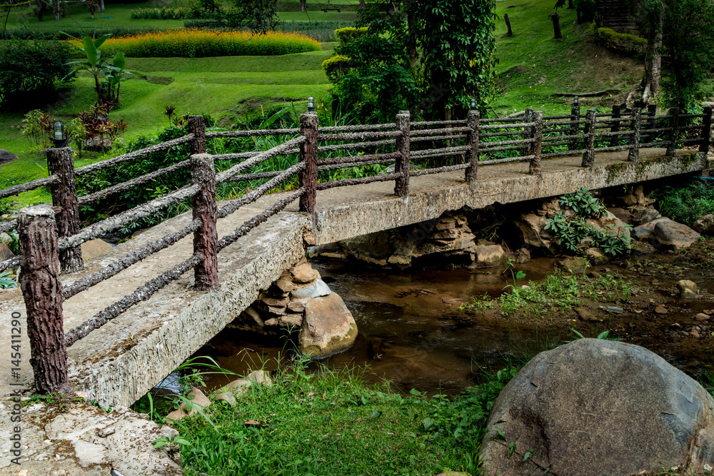 Obraz premium Concrete footbridge over the stream