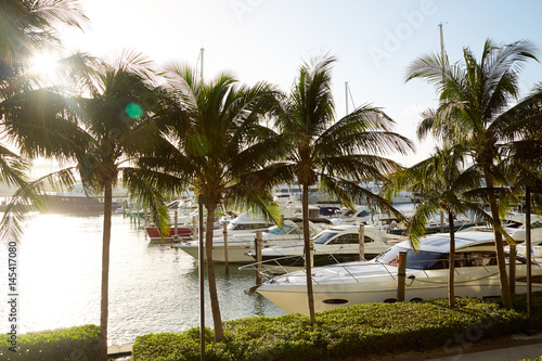 Yachts docked in Miami Florida USA