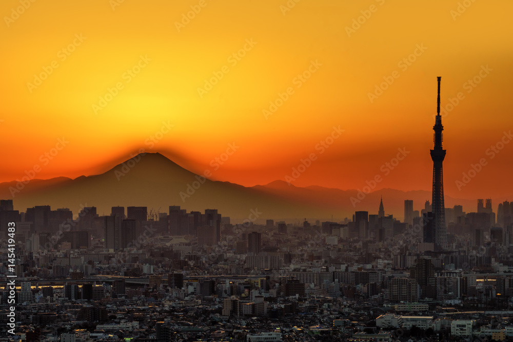 Tokyo Sky Tree and Fuji Mountain at Sunset, Chiba, Japan