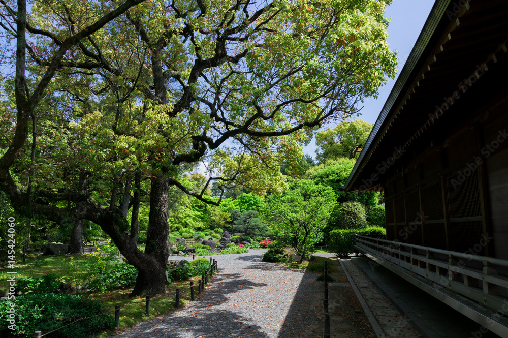 日本の庭園