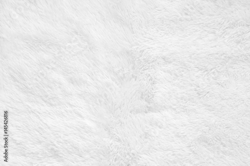Shaggy fur texture photo