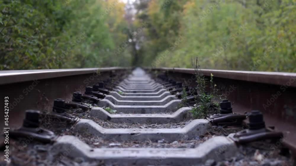 Empty railroad track Empty railroad track