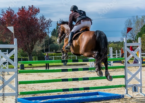 Equitation, saut d'obstacles. © Bernard GIRARDIN
