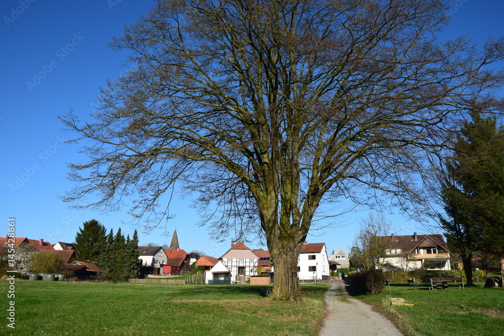 Niedersächsisches Dorf