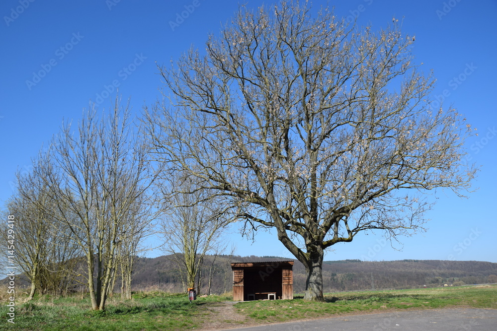 Schutzhütte am Weserradweg Schutzhütte am Weserradweg