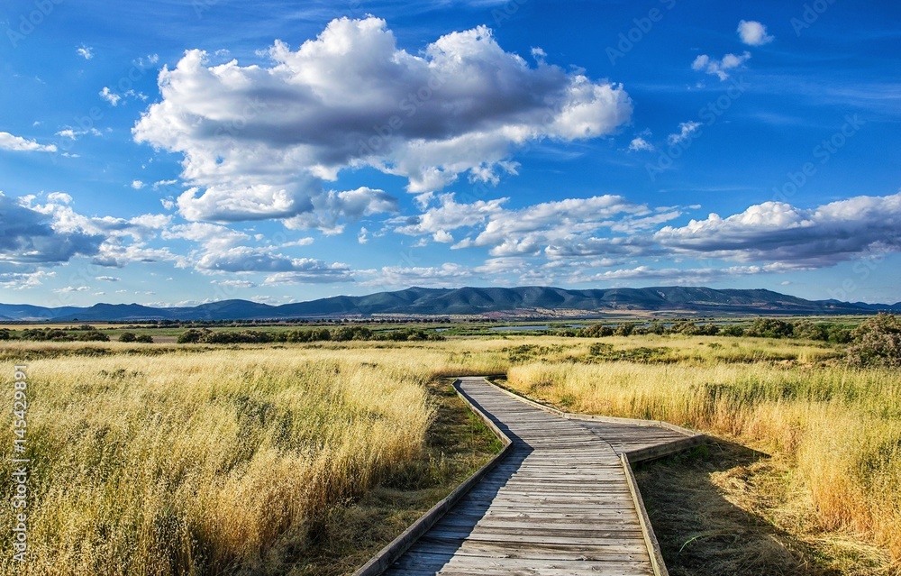 Paisaje otoñal con un intenso y profundo cielo azul nuboso. Parque nacional de Las Tablas de Daimiel. Ciudad Real. España.