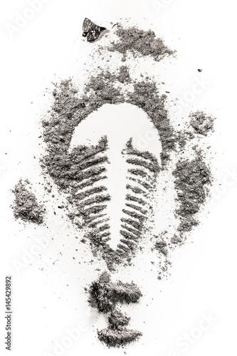 Trilobite fossile imprint drawing silhouette in stone dust, ash, dirt as archeolog, history, geology, paleontology, evolution, extinct life concept illustration photo