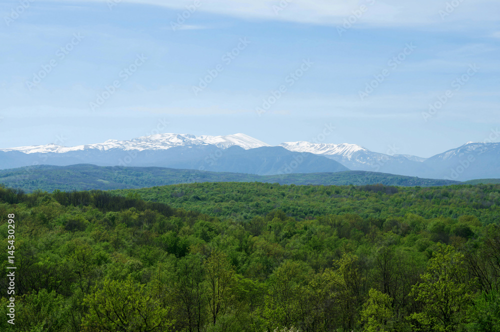 Landscape of woods and mountains Landscape of woods and mountains