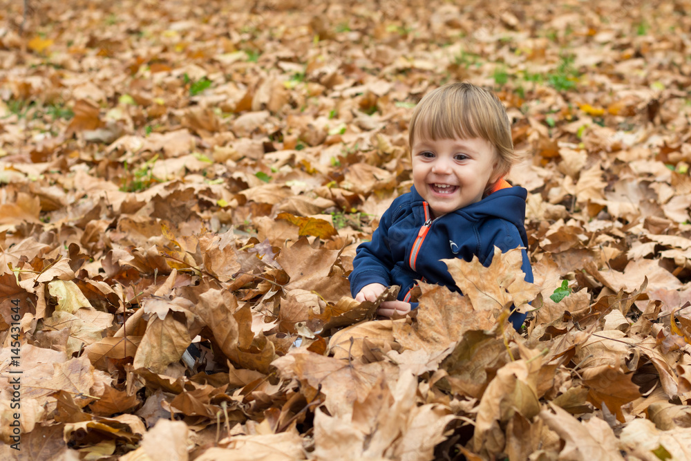 Happy little child, baby boy laughing and playing in autumn Happy little child, baby boy laughing and playing in autumn