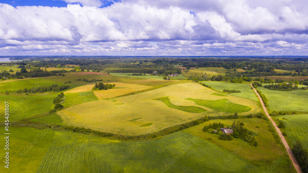 Drone flight over the farmland