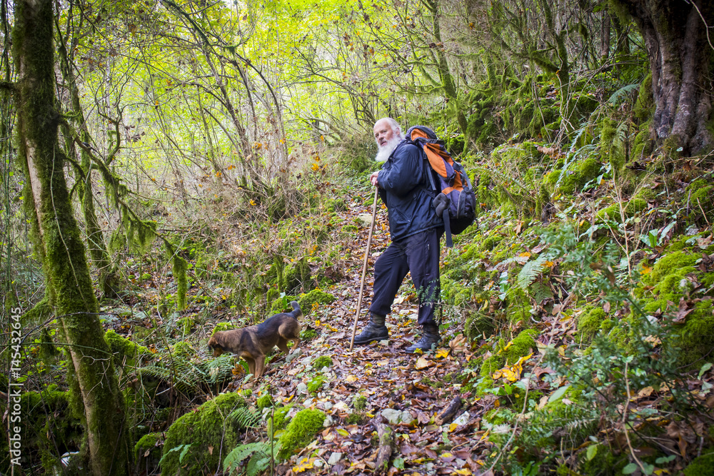 Gray-haired backpacker walking through the wild forest