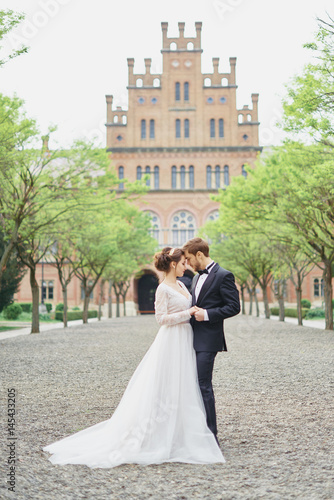 Bride and groom walking on alley chateau