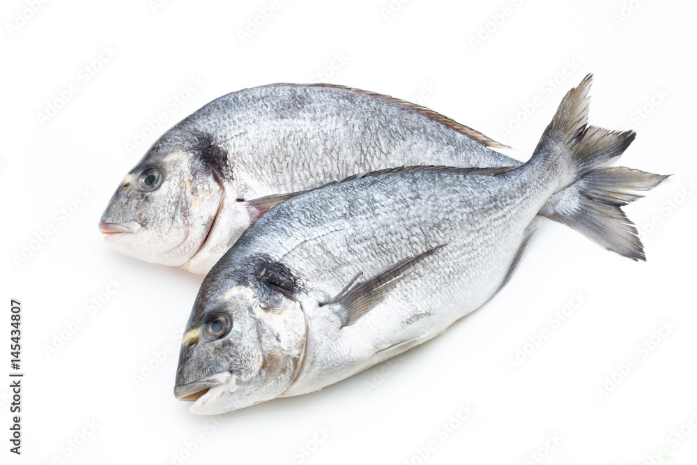 Fresh bream sea isolated on white background. Fresh bream sea isolated on white background.