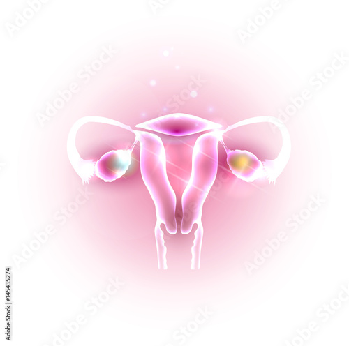 Female uterus and ovaries abstract transparent design