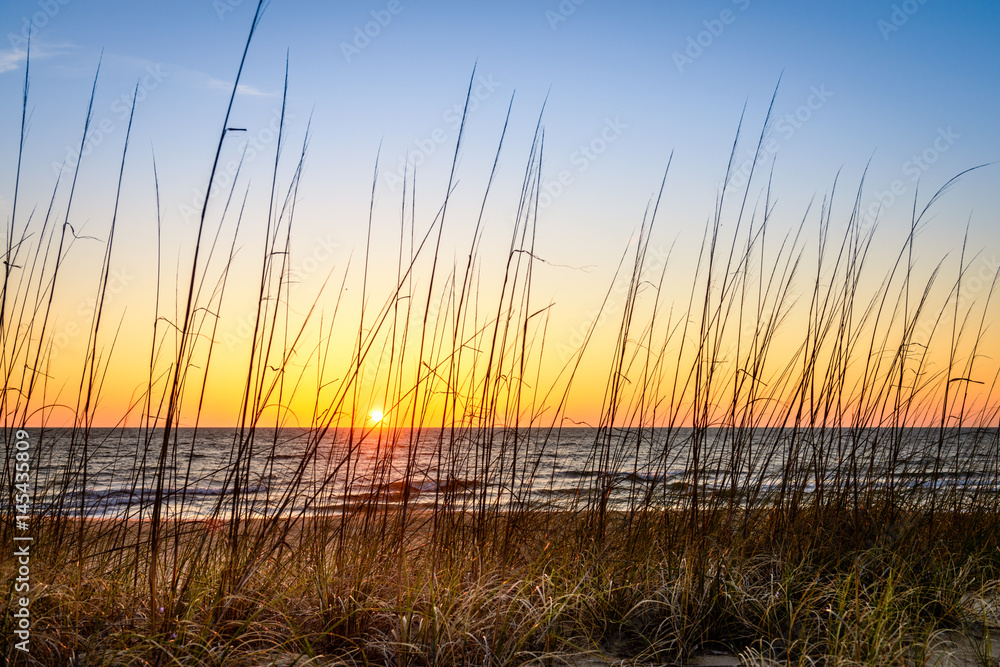 Fototapeta premium Sunup