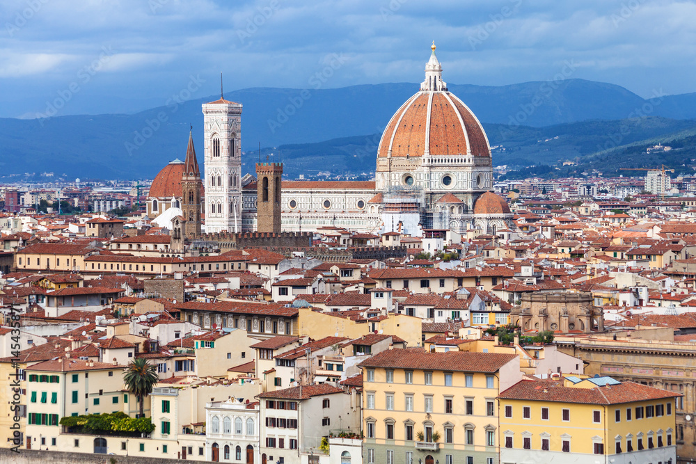 skyline of Florence town with Cathedral
