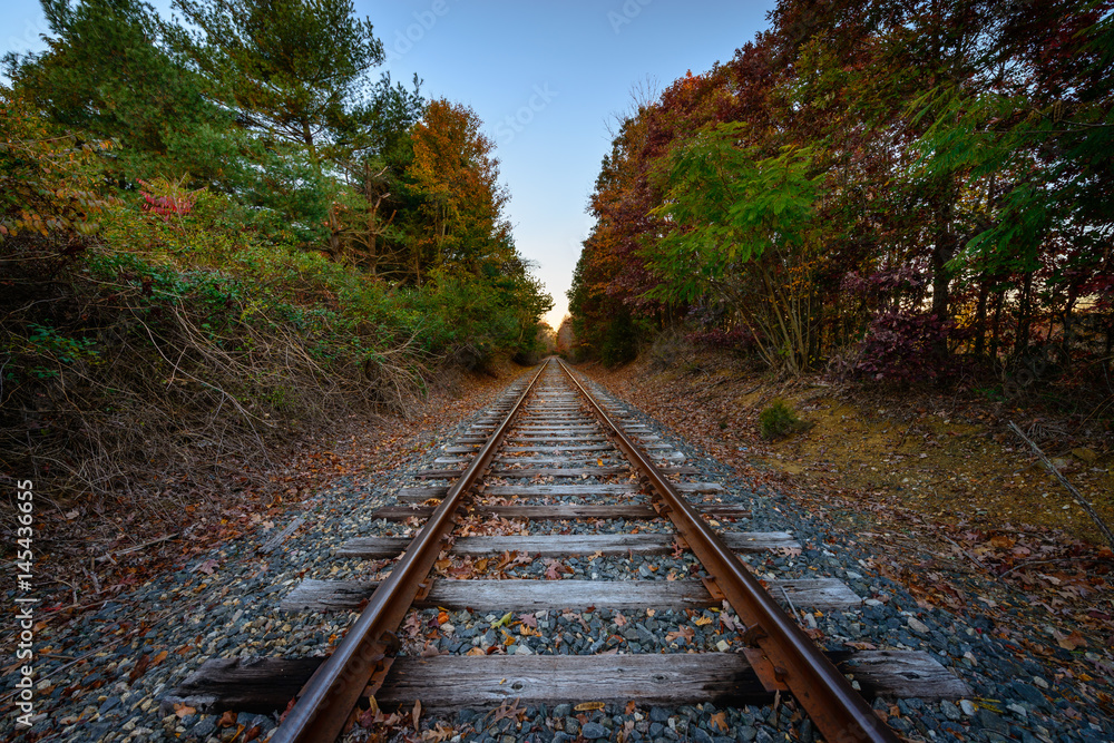 Fototapeta premium Autumn Train