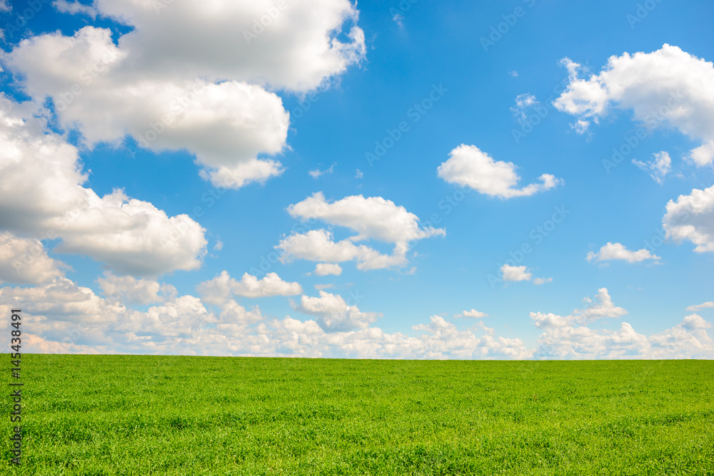 Green grass and blue sky with white clouds Green grass and blue sky with white clouds