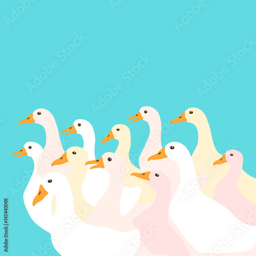 a flock of ducks vector illustration style Flat