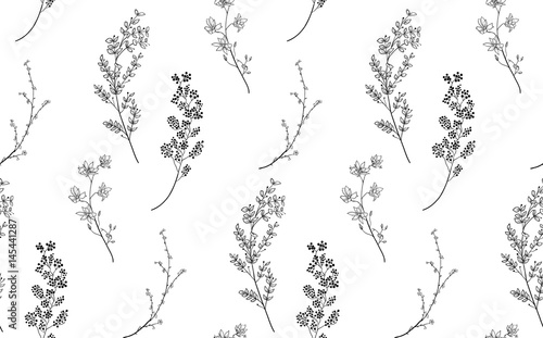 Fototapeta Naklejka Na Ścianę i Meble -  Vector Black Seamless Pattern with Drawn Branches, Plants