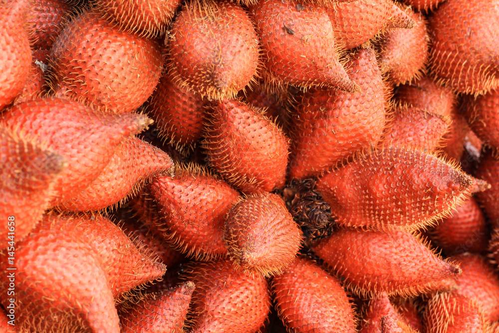 Zalacca fruit of tropical Zalacca fruit of tropical