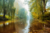 Fog over river in forest in the autumn