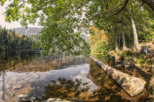 großer Arbersee in Bayern